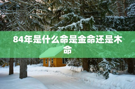 84年是什么命是金命还是木命