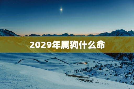 2029年属狗什么命