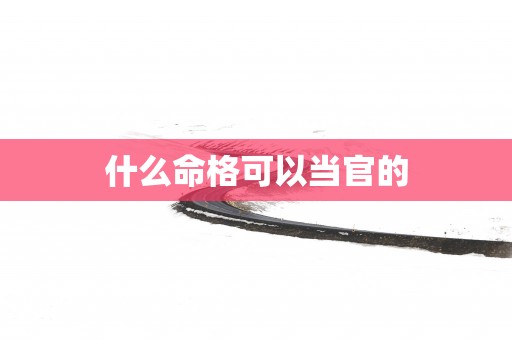 什么命格可以当官的