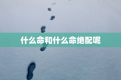 什么命和什么命绝配呢