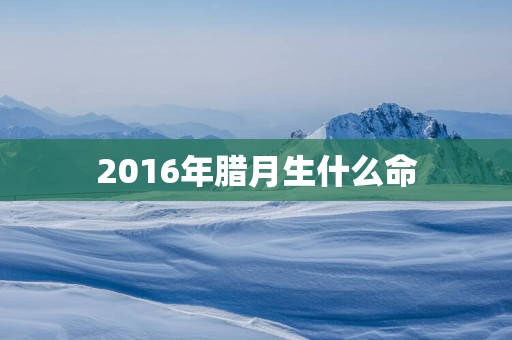 2016年腊月生什么命