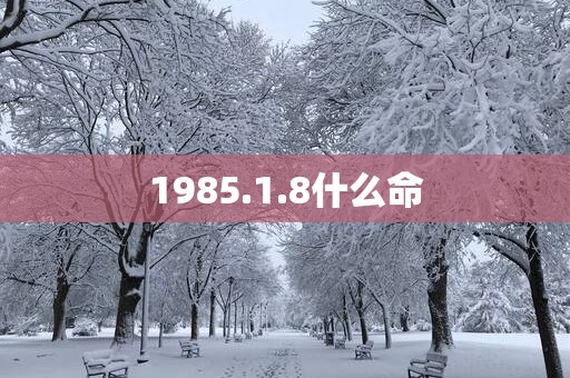 1985.1.8什么命