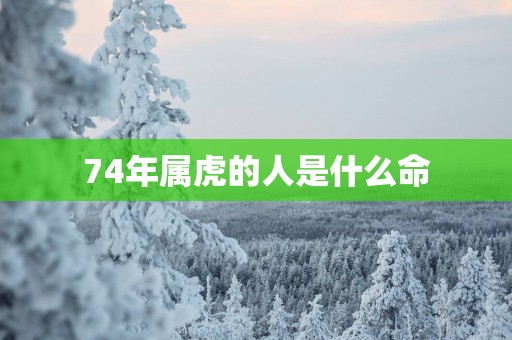 74年属虎的人是什么命