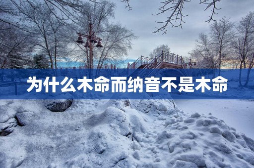为什么木命而纳音不是木命