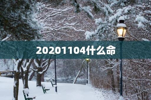 20251104什么命
