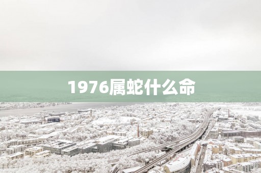 1976属蛇什么命
