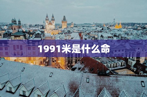 1991米是什么命