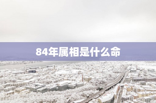 84年属相是什么命