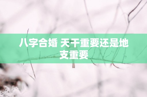 八字合婚 天干重要还是地支重要