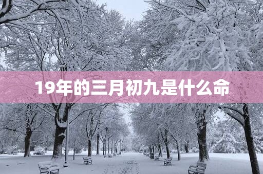 19年的三月初九是什么命