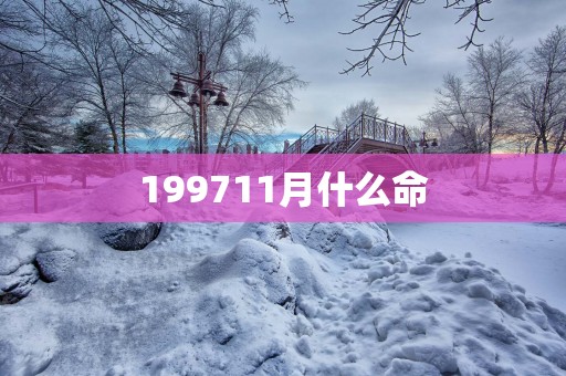 199711月什么命