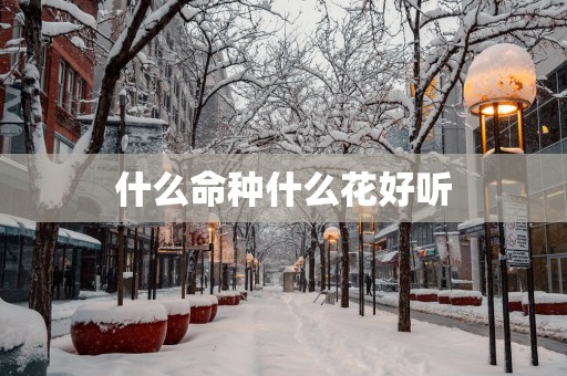 什么命种什么花好听