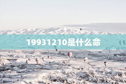 19931210是什么命