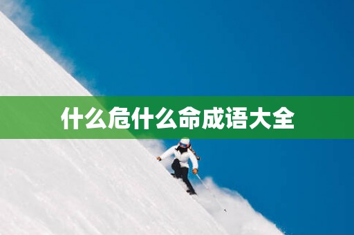 什么危什么命成语大全
