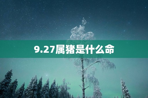 9.27属猪是什么命