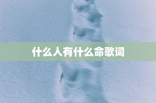 什么人有什么命歌词