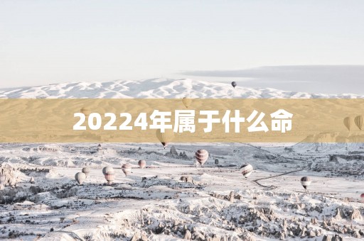 20254年属于什么命