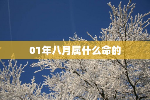 01年八月属什么命的