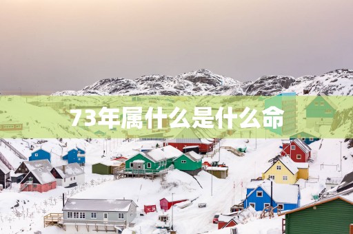 73年属什么是什么命