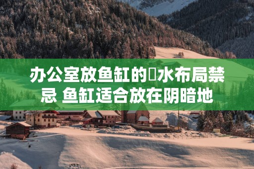 办公室放鱼缸的風水布局禁忌 鱼缸适合放在阴暗地