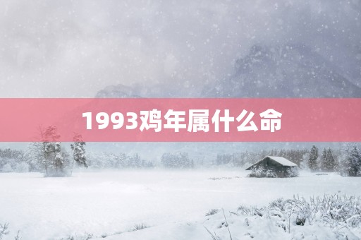 1993鸡年属什么命