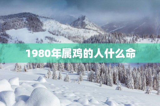 1980年属鸡的人什么命