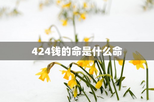 424钱的命是什么命