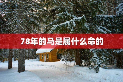 78年的马是属什么命的