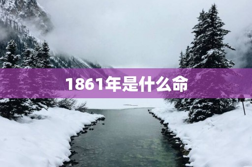 1861年是什么命