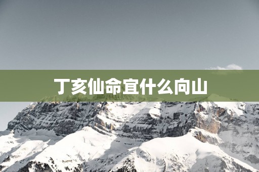 丁亥仙命宜什么向山