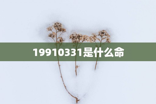 19910331是什么命 19910331是什么命