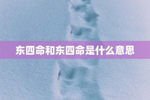 东四命和东四命是什么意思