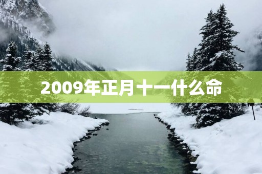 2009年正月十一什么命