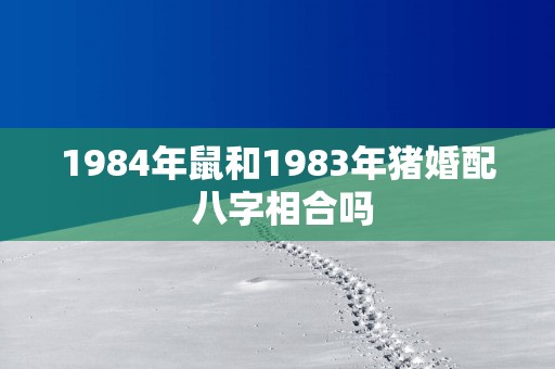 1984年鼠和1983年猪婚配 八字相合吗