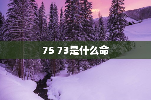 75 73是什么命