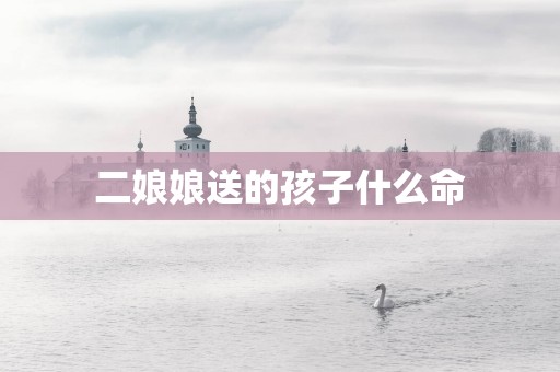二娘娘送的孩子什么命