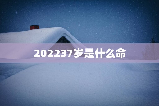 202537岁是什么命