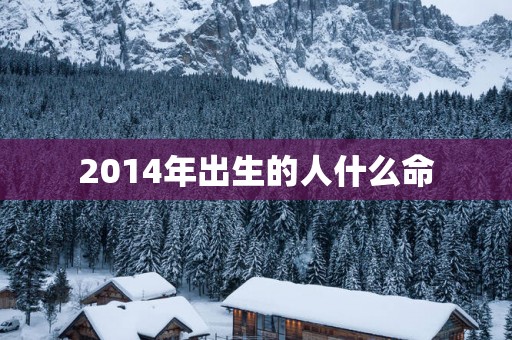 2014年出生的人什么命