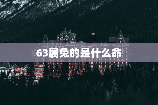 63属兔的是什么命