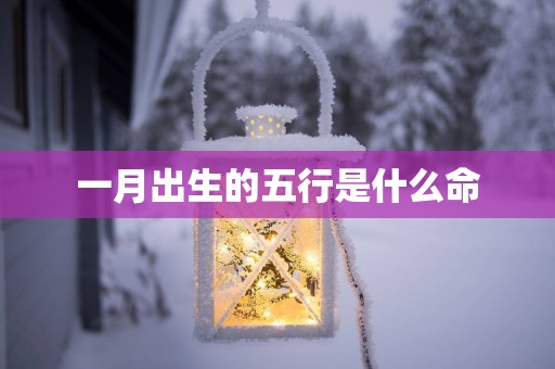 一月出生的五行是什么命