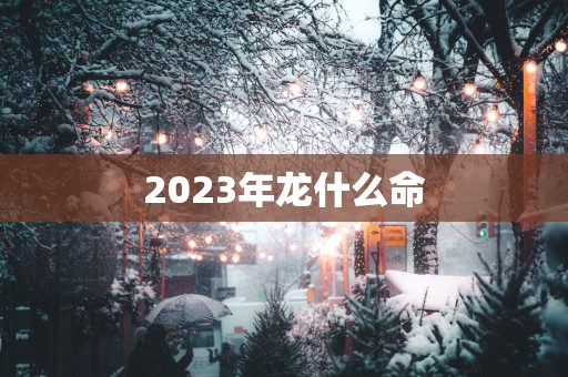 2025年龙什么命