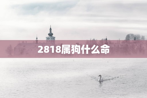 2818属狗什么命