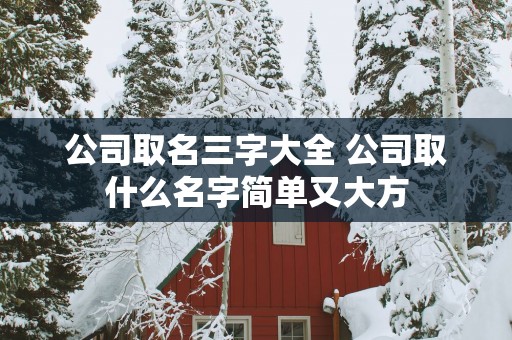 公司取名三字大全 公司取什么名字简单又大方