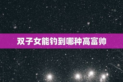 双子女能钓到哪种高富帅