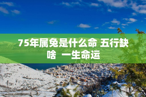 75年属兔是什么命 五行缺啥  一生命运