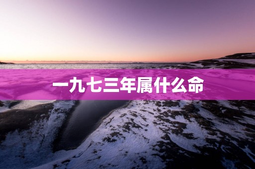 一九七三年属什么命