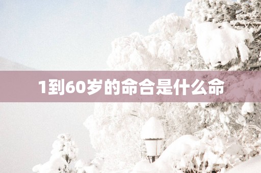 1到60岁的命合是什么命