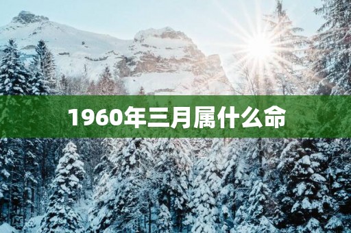 1960年三月属什么命