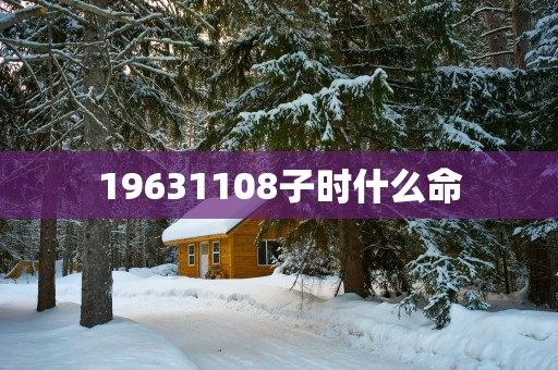 19631108子时什么命
