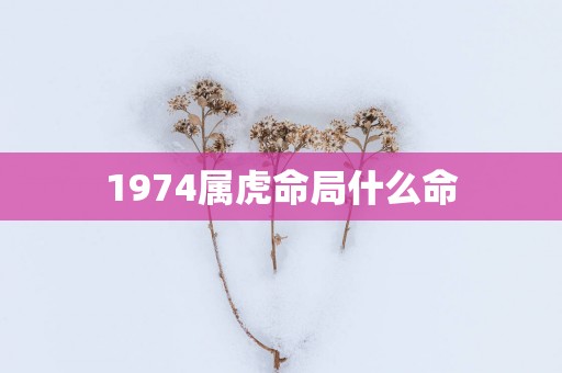 1974属虎命局什么命